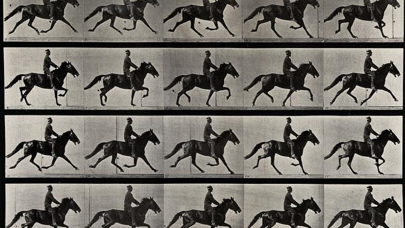 Eadweard Muybridge: Human and Animal Locomotion, with a Live Score by Kite