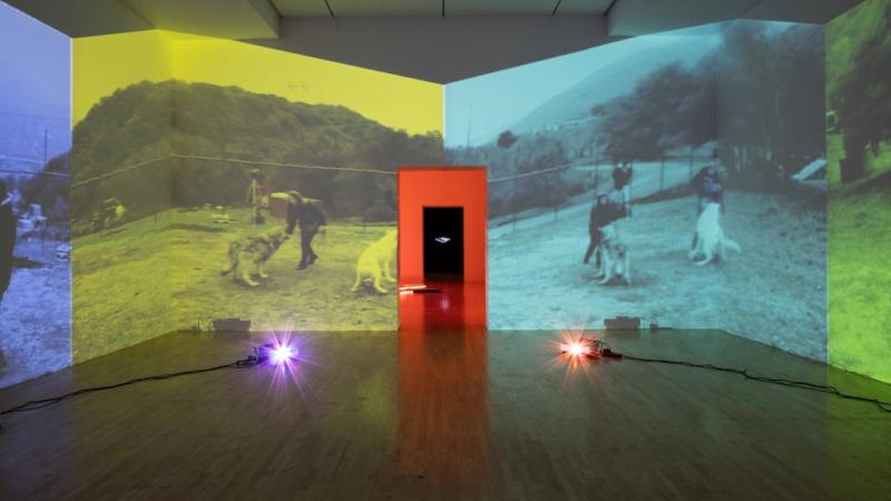 This Weekend at LACMA