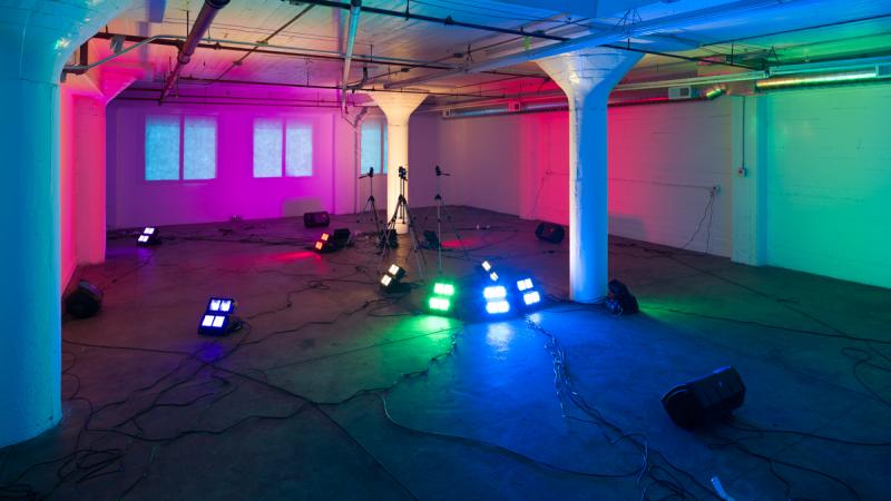 Calling out into the Darkness: Diana Thater and Art + Technology