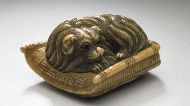 An Ode to Pets in Art: A Post for Families to Enjoy Together