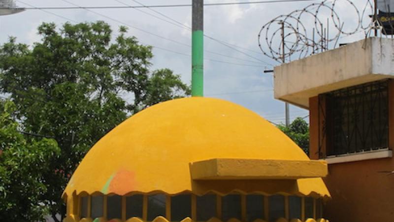 A New Exhibition Hatches in NuMu