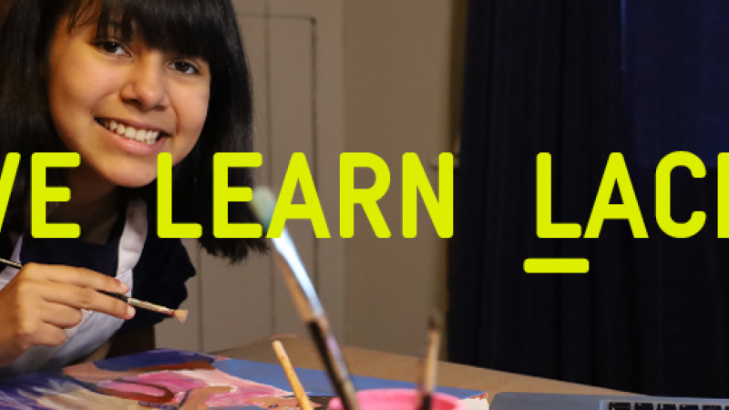 Consider Donating to LACMA Fund for GivingTuesday