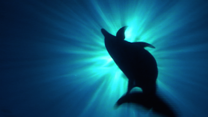 This Weekend at LACMA