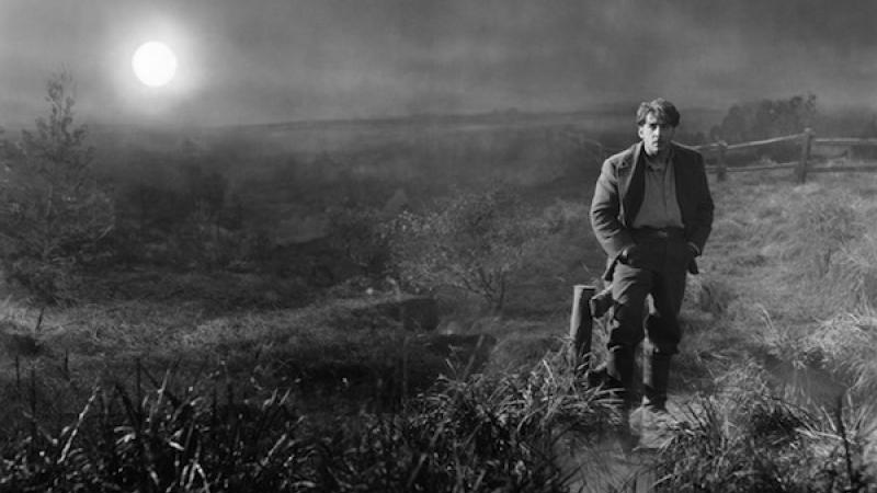 Haunted Screens: German Cinema in the 1920s