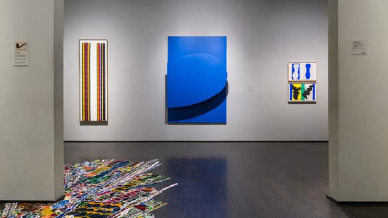 Twenty-Minute Family Guide: Color and Sound