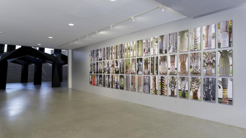 Robert Irwin's Palms