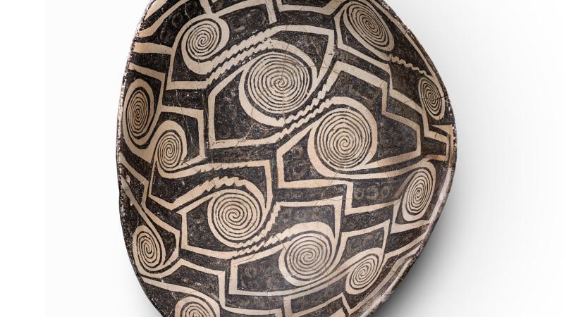 Dialogues Around a Hallucinogenic Plant and Some 1,000-Year-Old Paintings 