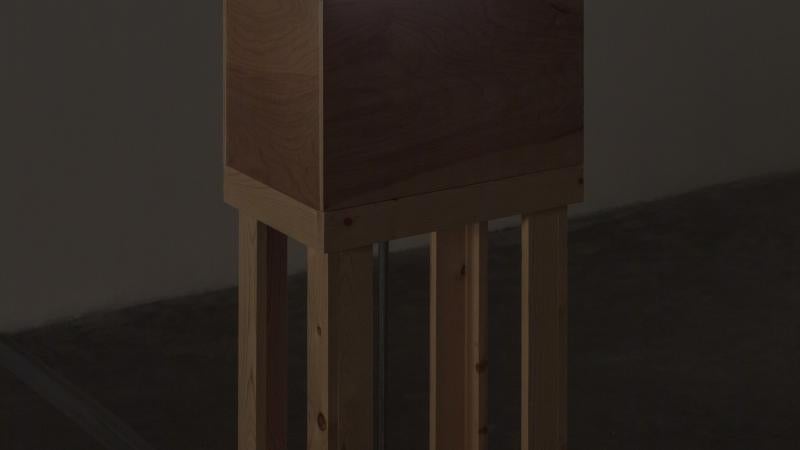 "3D: Double Vision" Highlight | Simone Forti’s "Striding Crawling"