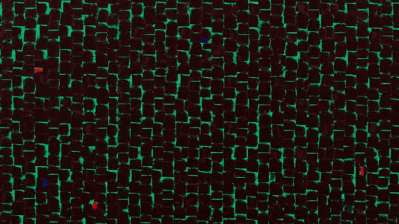 On View Now Unexpected Light: Works by Young-Il Ahn