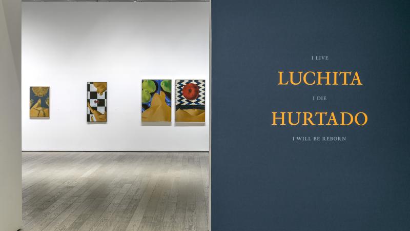 Luchita Hurtado: I Live I Die I Will Be Reborn—An Overview