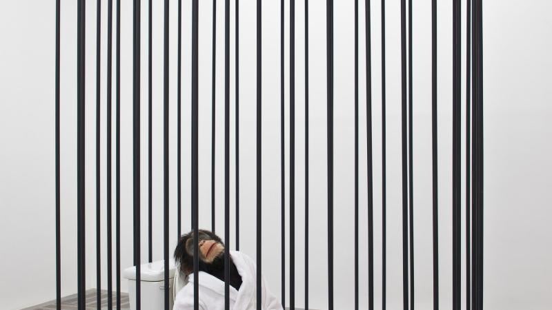 Gift of Chinese Contemporary Art Donated to LACMA by the Yuz Foundation