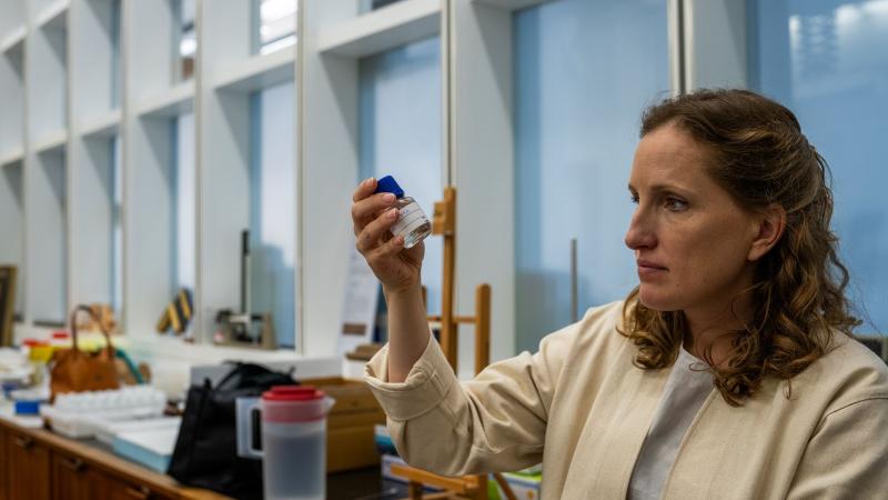      Nanogels and Nanomaterials in the Field of Conservation: Theory and Applications 