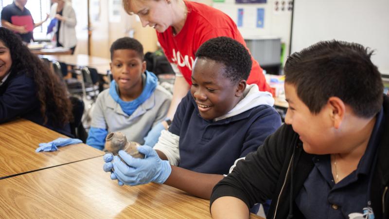 Understanding Indigenous Perspectives Through Student Experiences