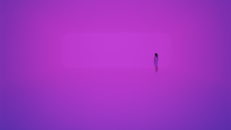 Rap's Art Connoisseurs