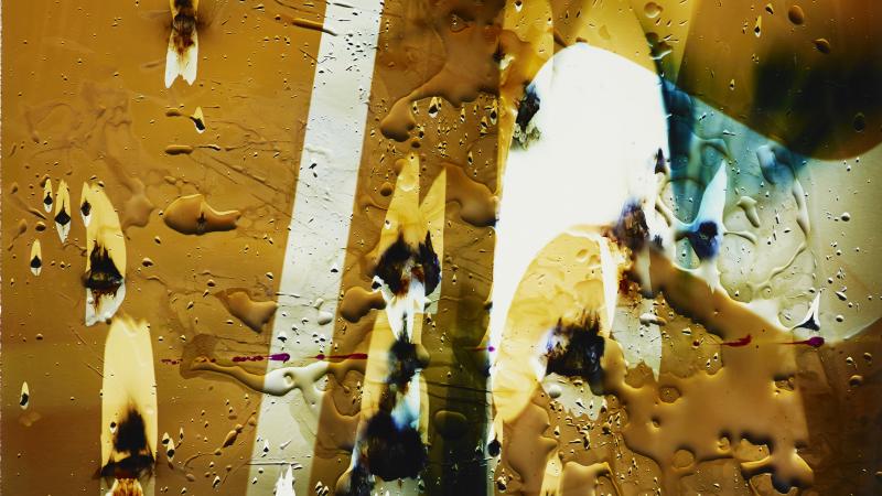 LENS: Photography Council 2016 Acquisitions