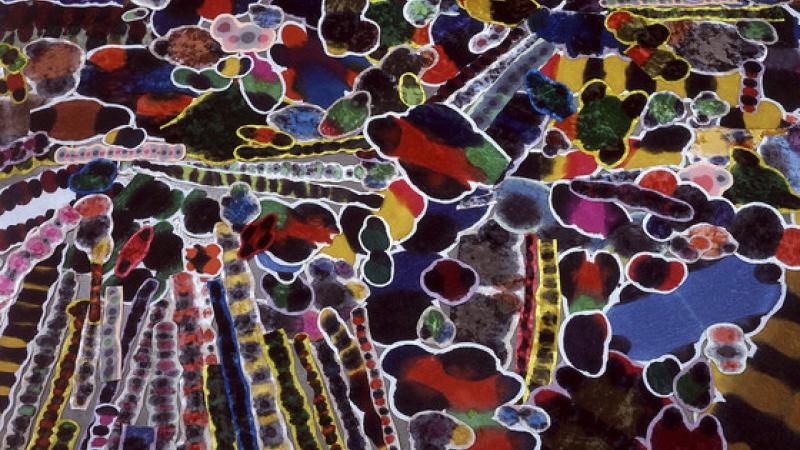 This Weekend at LACMA