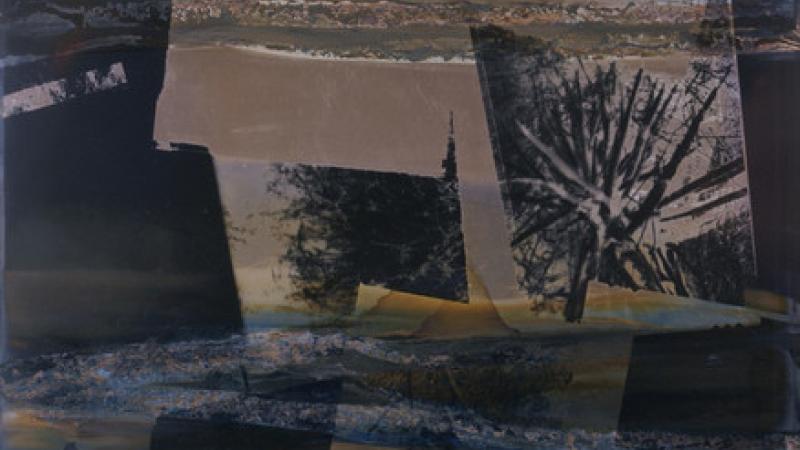 A Conversation with Susan Rankaitis