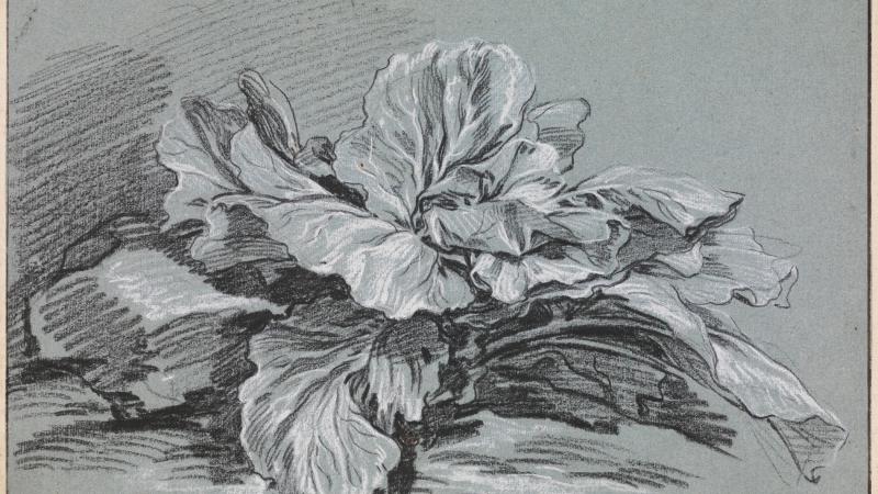 At Home with Art—Leslie Jones