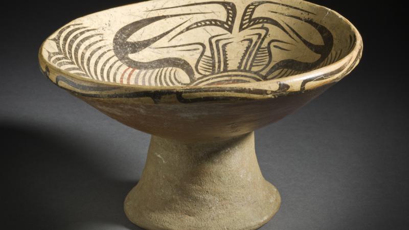 Did You Know? Interesting Factoids in “Panamanian Cosmos”