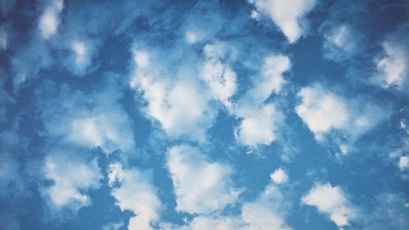 50 Works 50 Weeks: William Eggleston’s “Untitled”