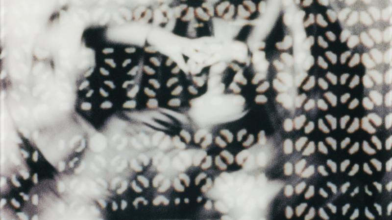 At Home with Art—Linda Komaroff