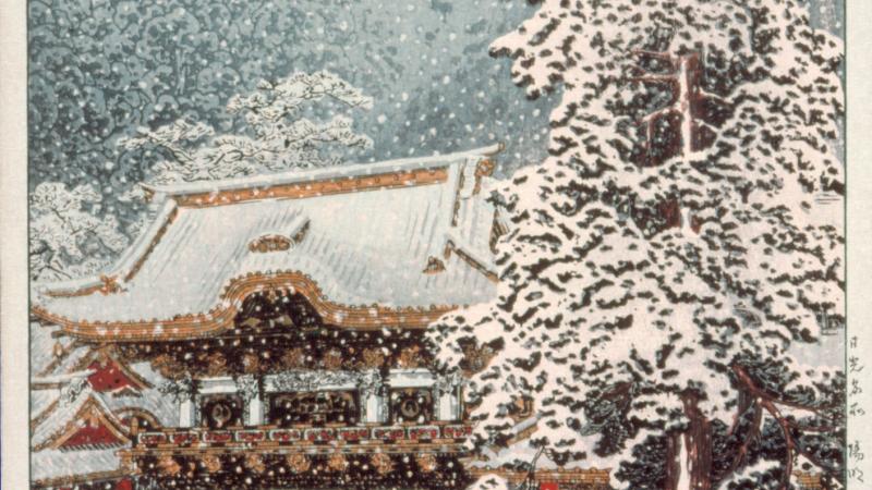 Collection Highlights for the Winter Solstice