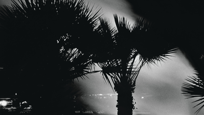 This Weekend at LACMA