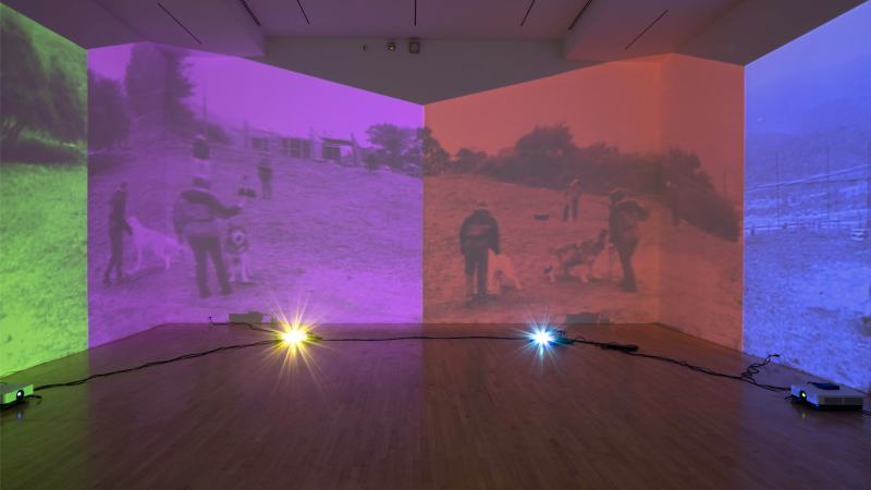 Installing Diana Thater