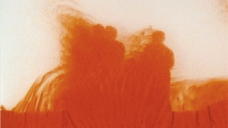 Senses of Time: Video and Film-Based Works of Africa