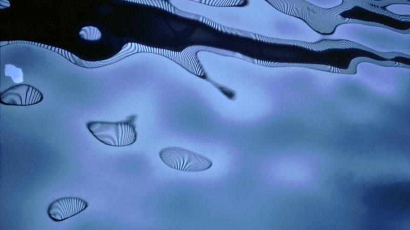 Introducing Carl Cheng’s "Tar Pool Project"