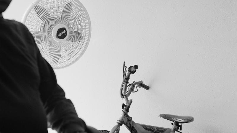 LENS: Photography Council 2021 Acquisitions