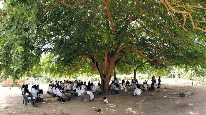 A Quest for Knowledge: Curatorial Research in Colombia—Part 2