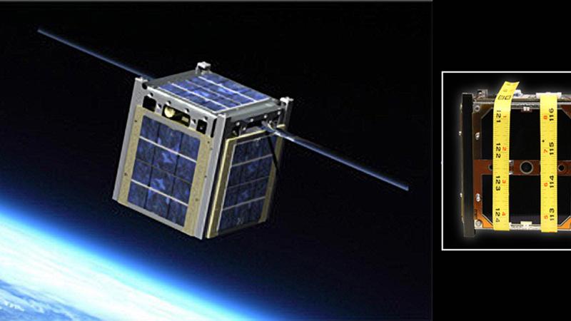 Julia Christensen and "The Tree of Life"