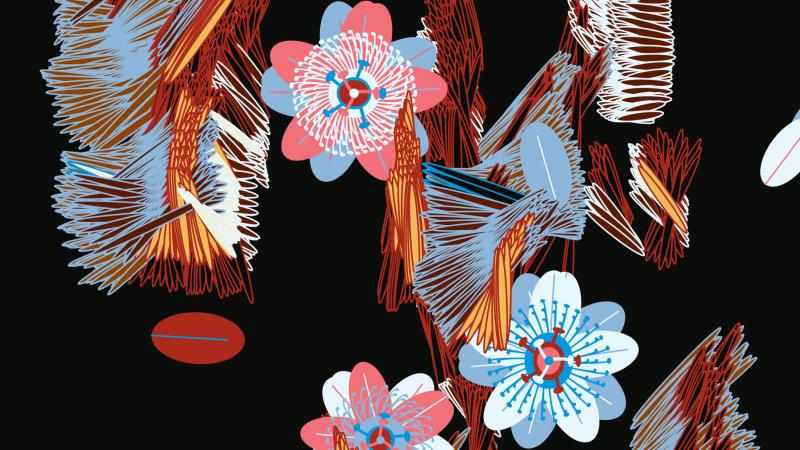 New Acquisition: The Cozomo de' Medici Collection