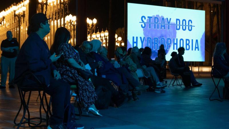 Currents of Memory: The Oceanic Worlds of “Stray Dog Hydrophobia”