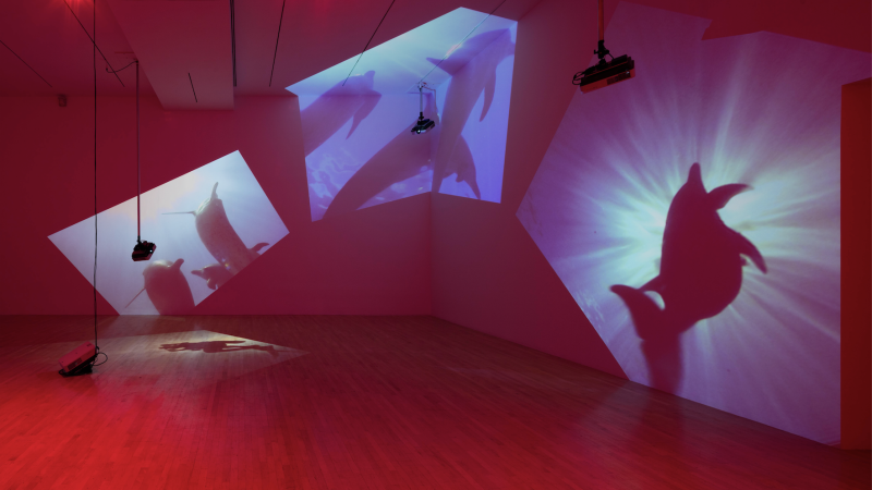 A Conversation with Diana Thater