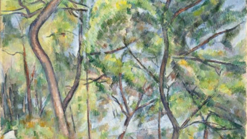 From the Collection: Sous-Bois by Paul Cézanne