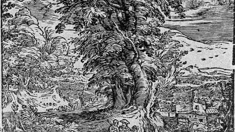 This Weekend at LACMA