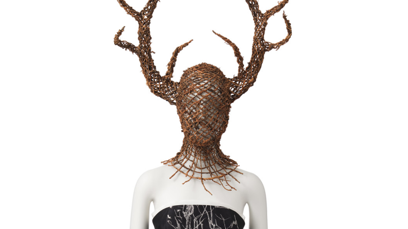 Costume Inspiration for a Plant-Powered Halloween