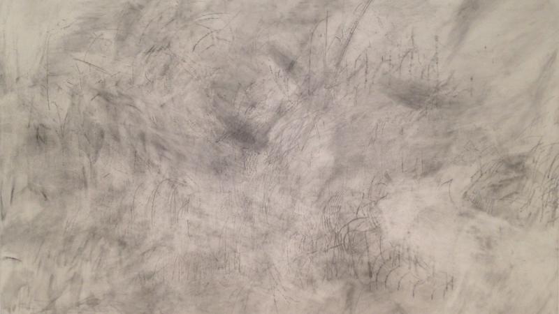 Julie Mehretu at LACMA (In Variations and in Person)