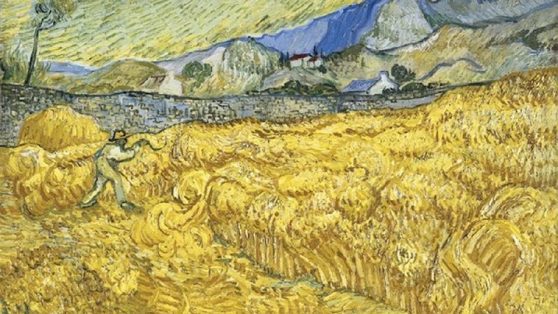 Labor Day Weekend at LACMA