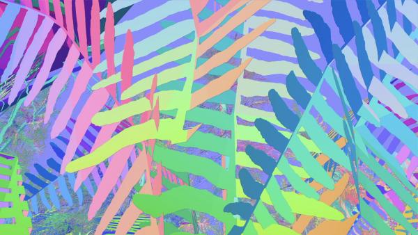 image of layered, multi-colored palm fronds