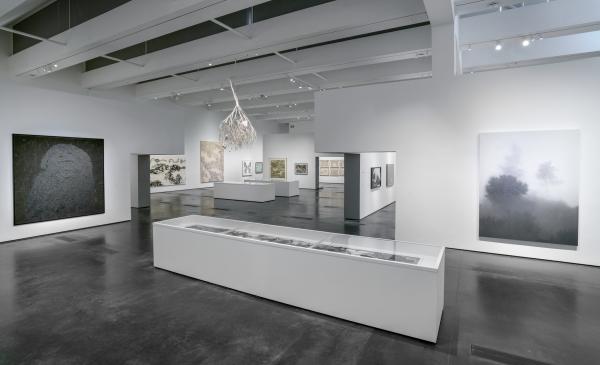 Installation photograph showing gallery view of Ink Dreams