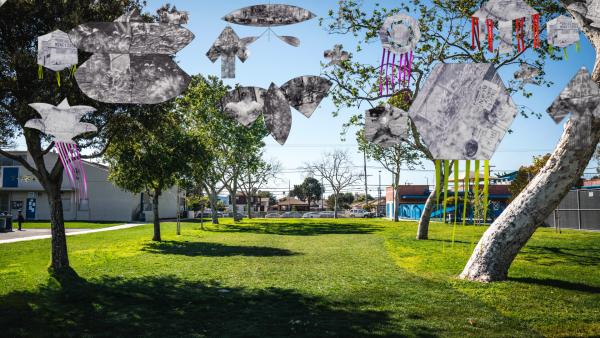 Images of kites floating on a photo of a green park