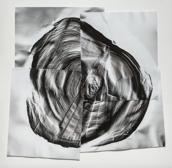 Sounds of Nature | Unframed