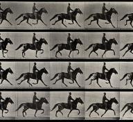 Still from Eadweard Muybridge's motion study of horses. Image courtesy of Wellcome Images, a website operated by Wellcome Trust, a global charitable foundation based in the United Kingdom.