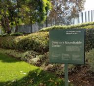 Director's Roundtable Garden at the Los Angeles County Museum of Art