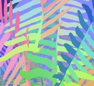 image of layered, multi-colored palm fronds