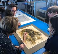 Getty curators Stephanie Schrader and Edina Adam, Getty conservator Michelle Sullivan, and former LACMA (now Getty) curator Naoko Takahatake examine the Gauguin “oil transfer drawing,” image courtesy of Madison Brockman. Foreground: Paul Gauguin, Eve ['The Nightmare'] (recto); Eve ['The Nightmare'] (verso), c. 1899–1900, The J. Paul Getty Museum, Los Angeles; Background: William Blake, Satan Exulting over Eve (detail), 1795, The J. Paul Getty Museum, Los Angeles