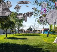 Images of kites floating on a photo of a green park